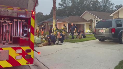 Rescue crews save family and dog after home in Miami went up in flames